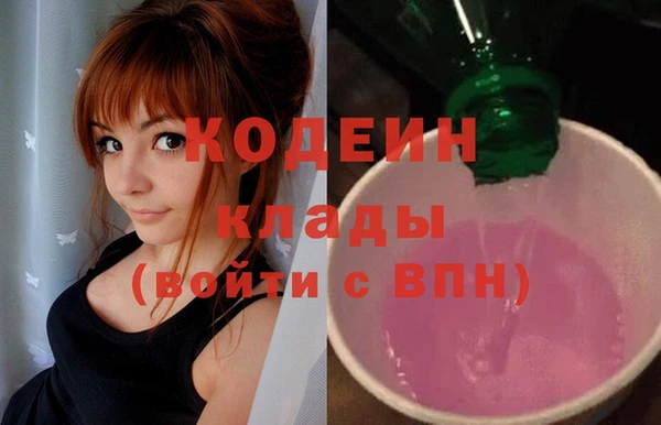 прущие грибы Орехово-Зуево
