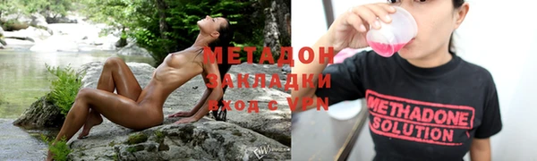 прущие грибы Орехово-Зуево
