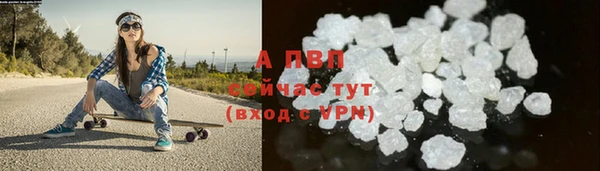 прущие грибы Орехово-Зуево