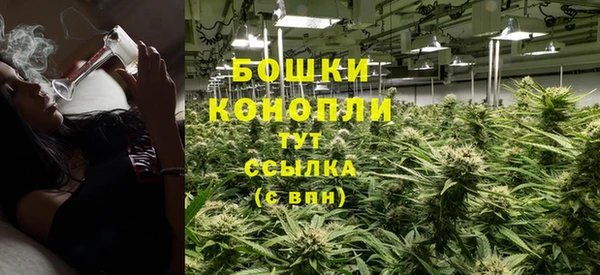 прущие грибы Орехово-Зуево