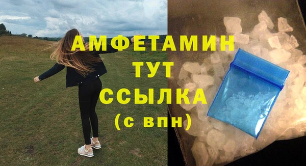 индика Домодедово