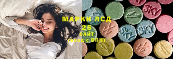 прущие грибы Орехово-Зуево