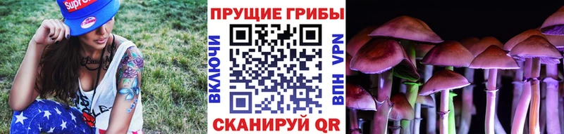 Галлюциногенные грибы Cubensis  Ипатово 