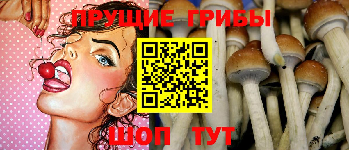 Галлюциногенные грибы Cubensis  что такое   Ипатово 