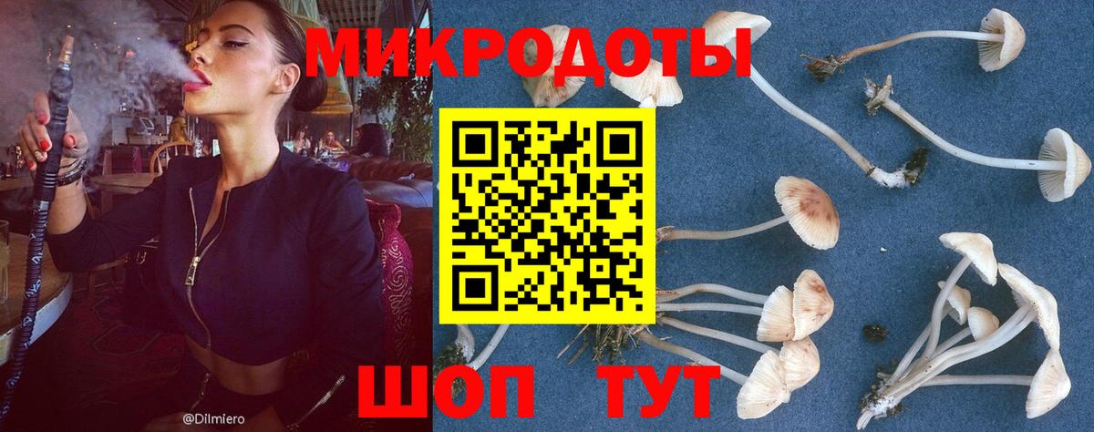 Ипатово  Галлюциногенные грибы Cubensis  Вход с VPN  Псилоцибиновые грибы Magic Shrooms 